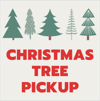 2024 Christmas Tree Pick up