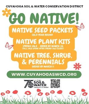 2024 all sales flyer (1)