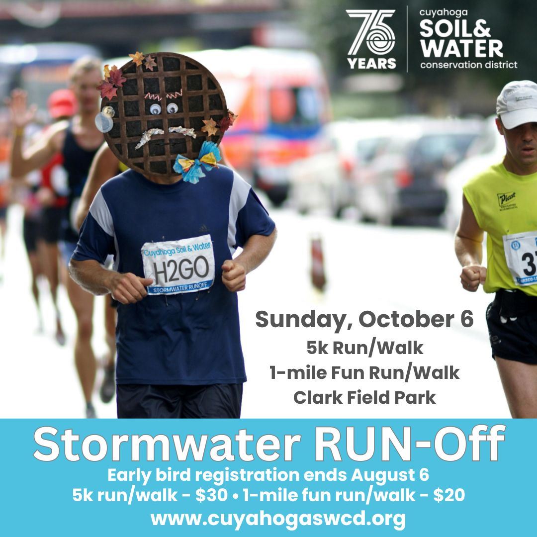 Stormwater RUN-Off